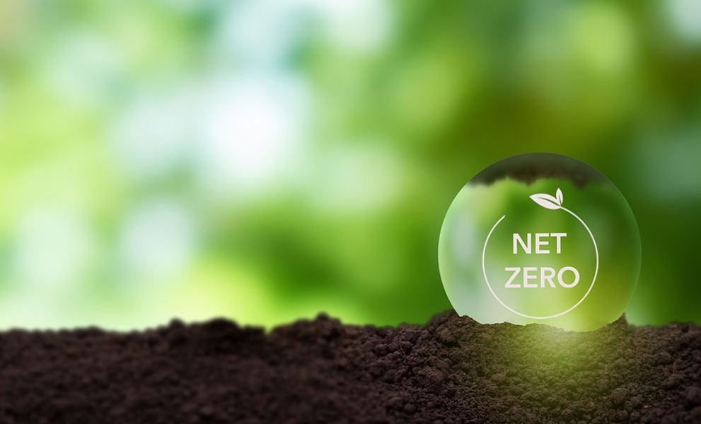 a transparent net zero orb placed on soil 