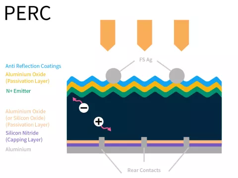 PERC solar cell section drawing