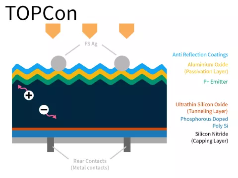 TOPCon Cell Section Drawing